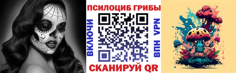 дарнет шоп Красноуральск Галлюциногенные грибы мицелий
